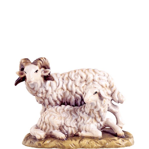 DU4149 - Ram with sheep D.K.