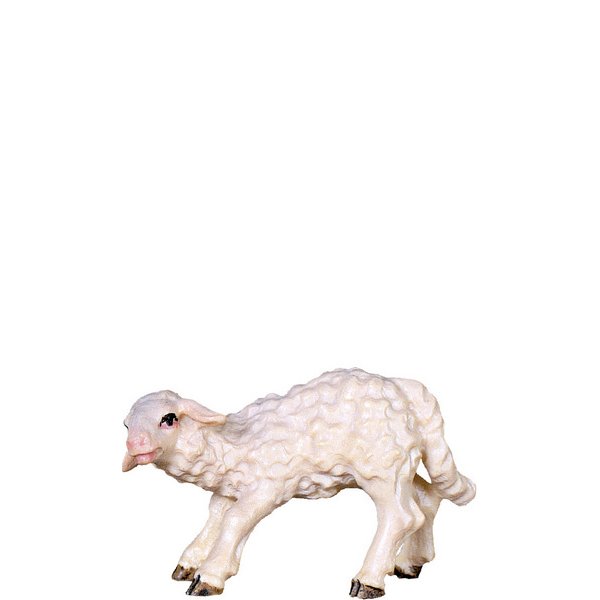 DU4163 - Lamb sucking D.K.