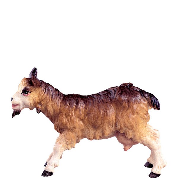 DU4174 - Nanny goat D.K.