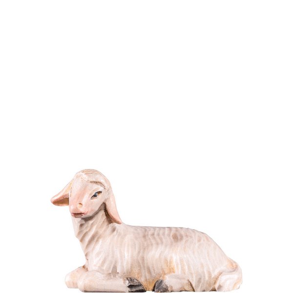 DU4253 - Sheep lying T.K.