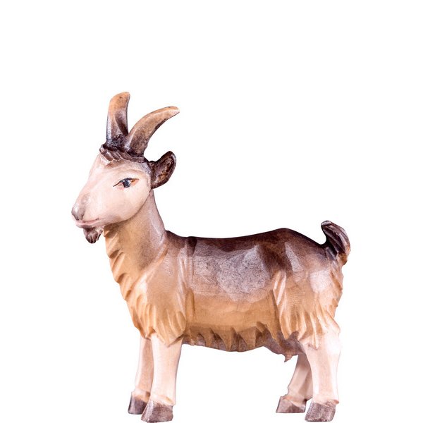 DU4274 - Nanny goat T.K.