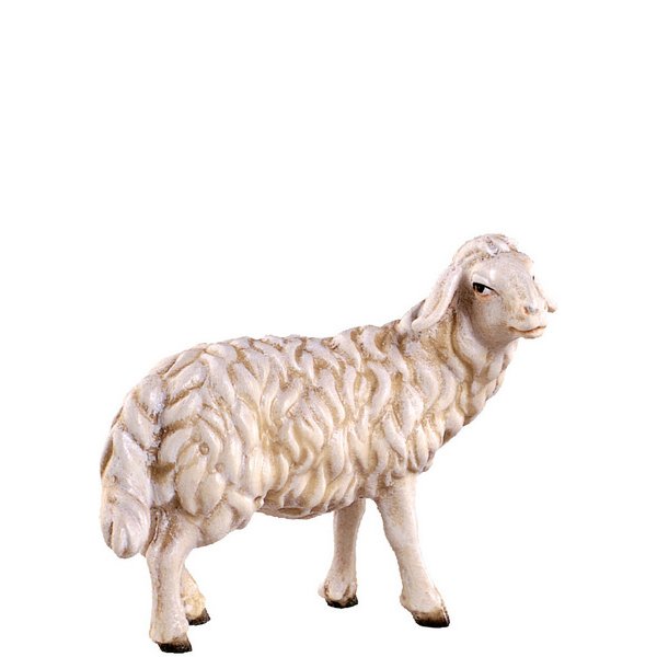 DU4351 - Sheep standing H.K.