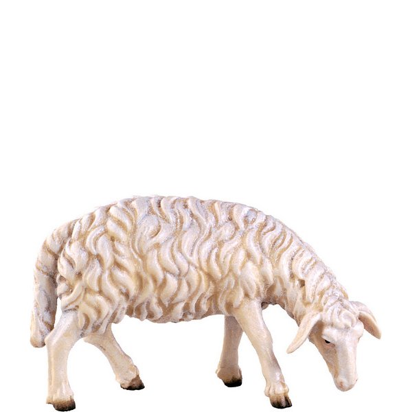 DU4352 - Sheep grazing H.K.