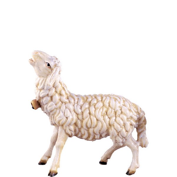 DU4356 - Sheep bleating H.K.