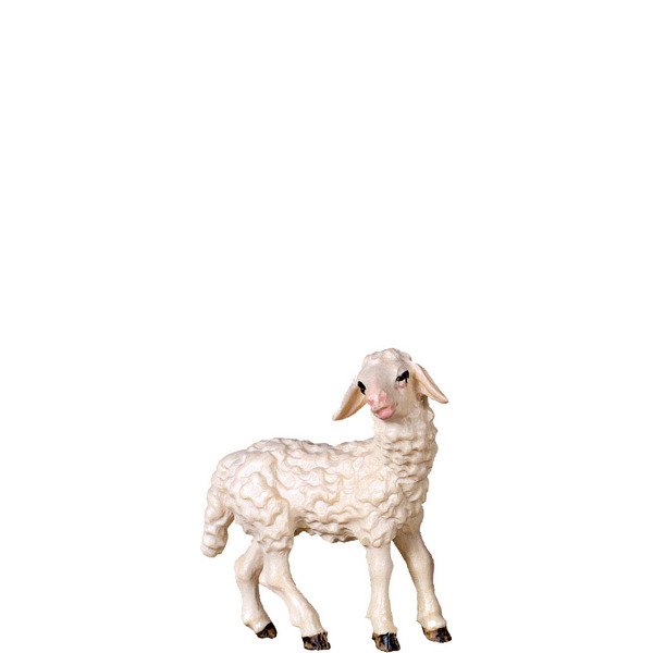 DU4362 - Lamb standing H.K.