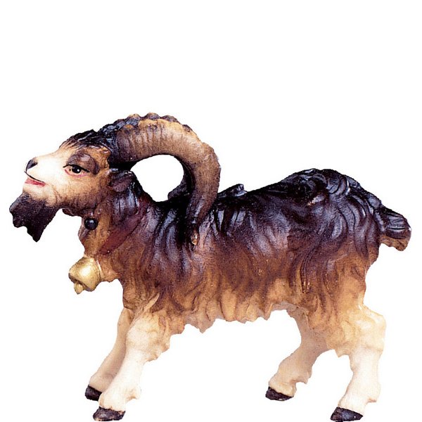 DU4373 - Billy goat H.K.