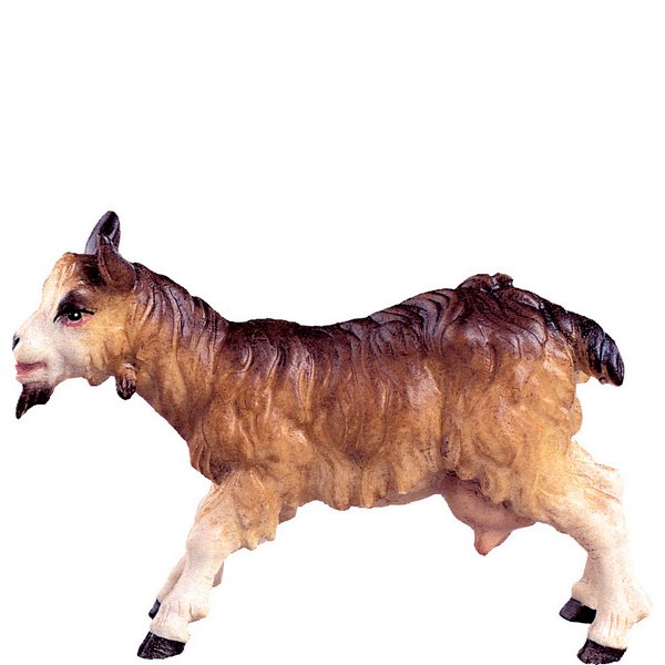 DU4374 - Nanny goat H.K.