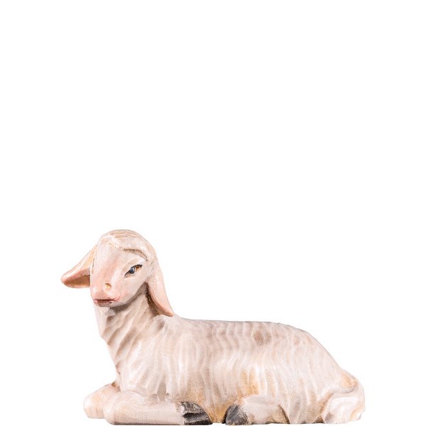 DU4453 - Sheep lying R.K.