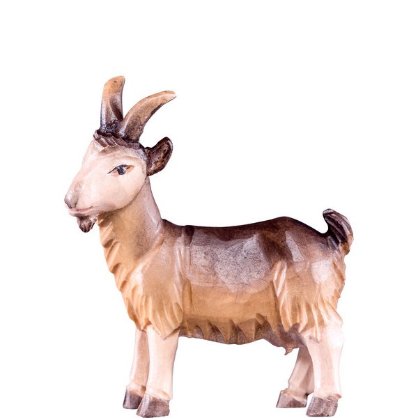 DU4474 - Nanny goat R.K.