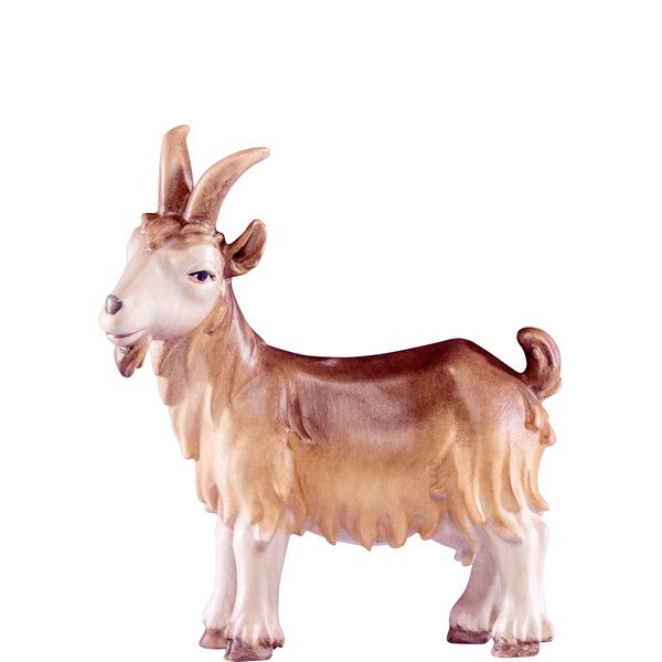 DU4574 - Nanny goat Artis
