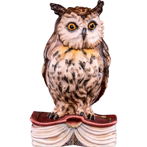 DU6002 - Owl on book