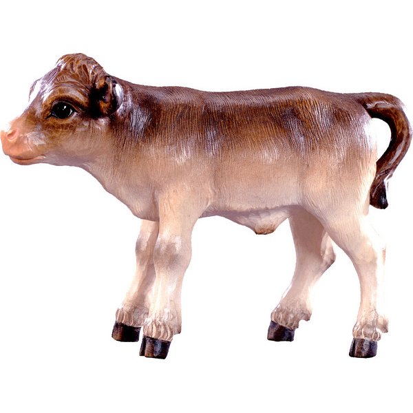 DU6024 - Calf