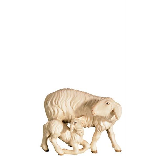 FL425439 - A-Sheep with lamb kneeling