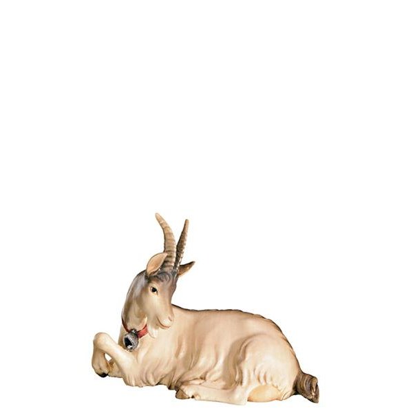 FL425446 - A-Goat lying down