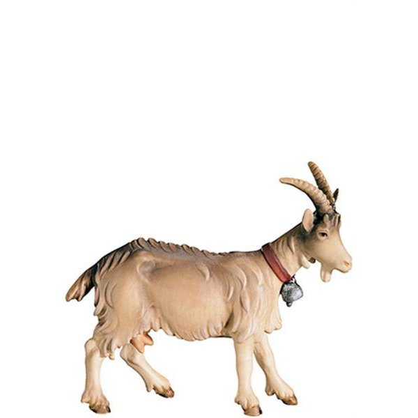 FL425447 - A-Goat looking