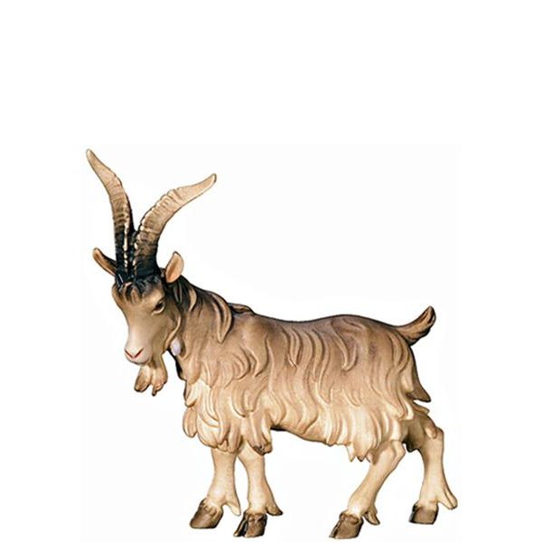 FL425448 - A-He-goat