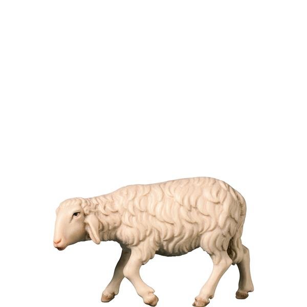 FL425489 - A-Walking sheep