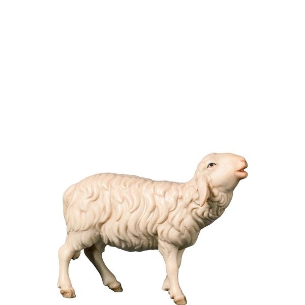 FL425490 - A-Bleating sheep