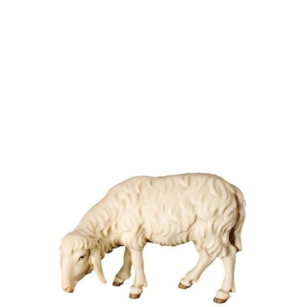 FL425493 - A-Sheep grazing left