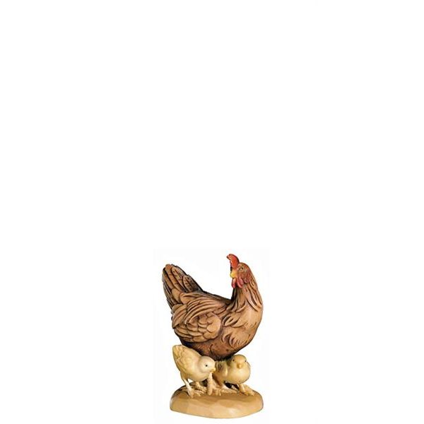 FL425569 - A-Hen with chicks