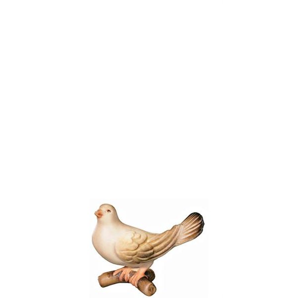 FL425580 - A-Dove looking backwards