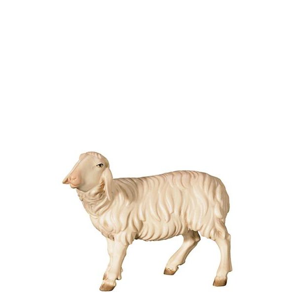 FL426441 - O-Sheep looking left