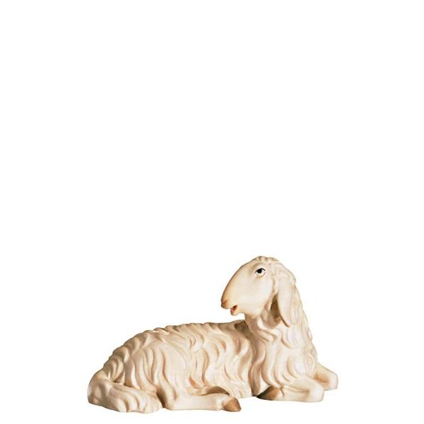 FL426442 - O-Sheep lying down