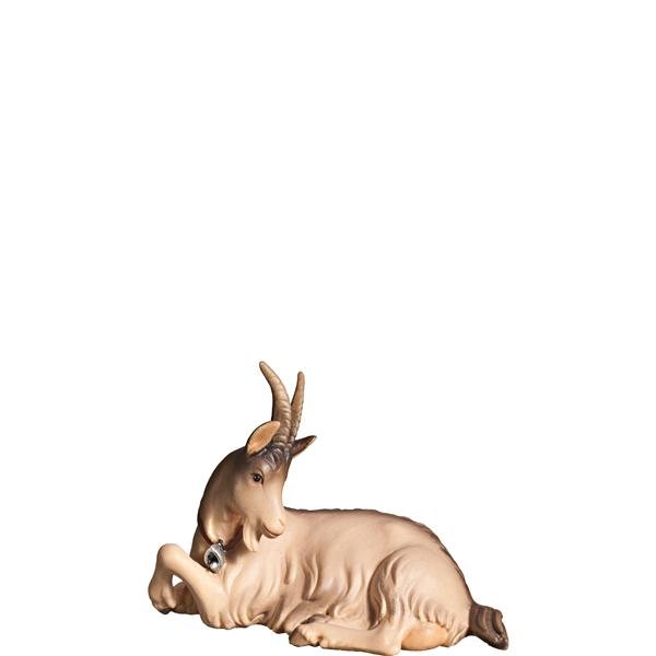 FL427446 - H-Goat lying down