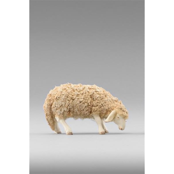 HD236103 - Sheep
