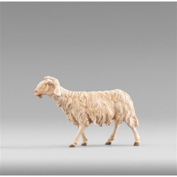 HD236124 - Sheep walking