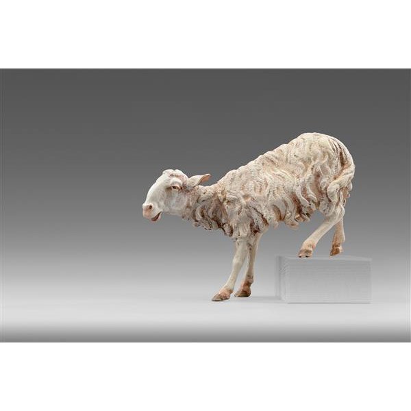 HD236129 - Sheep for step