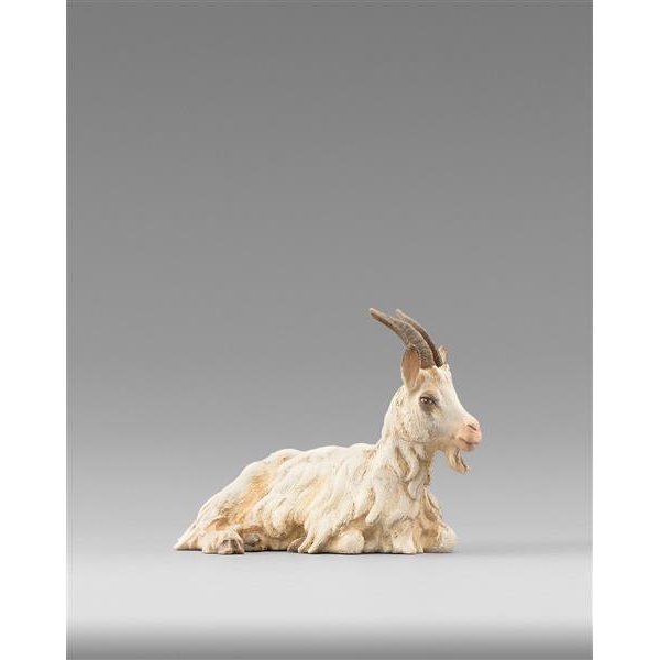 HD236501 - Goat reclining