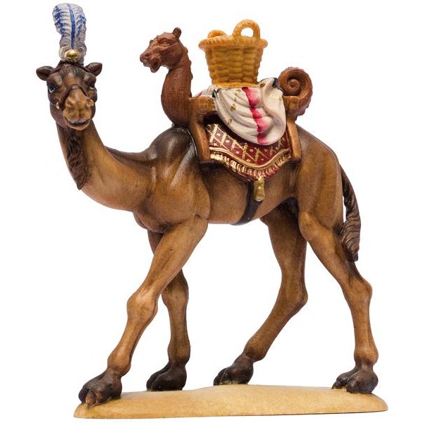 IE050019 - IN W.b.Camel with basket