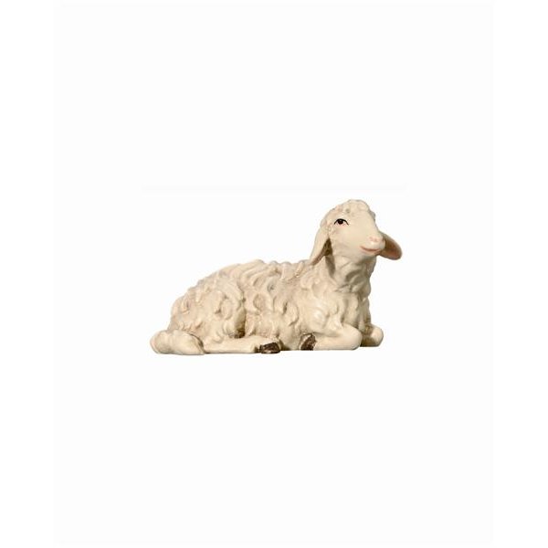 IE053051 - SI Sheep lying