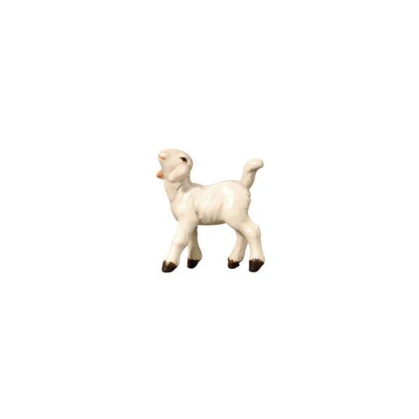 IE053060 - SI Lamb head left up