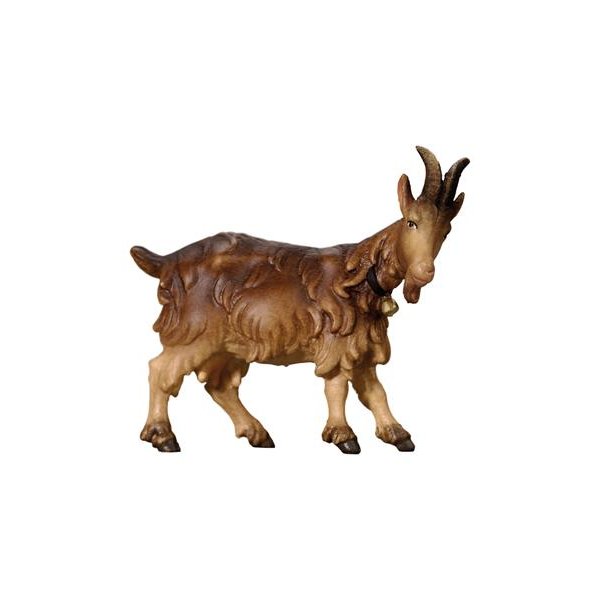 IE053070 - SI Goat