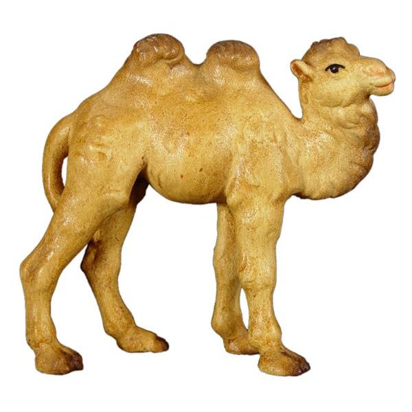 JM8027 - Camel baby