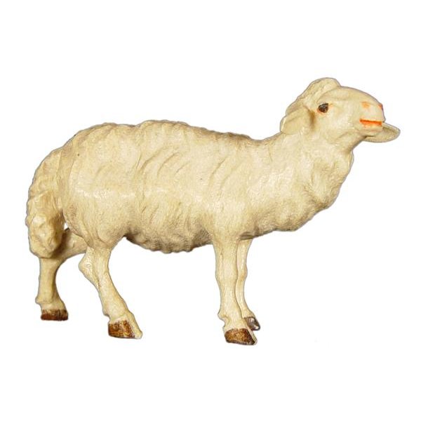JM8033 - Sheep standing upright