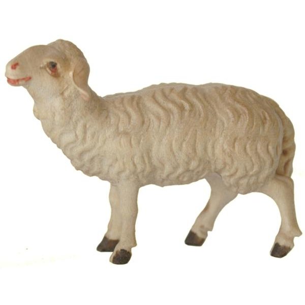 JM8034 - Sheep standing upright