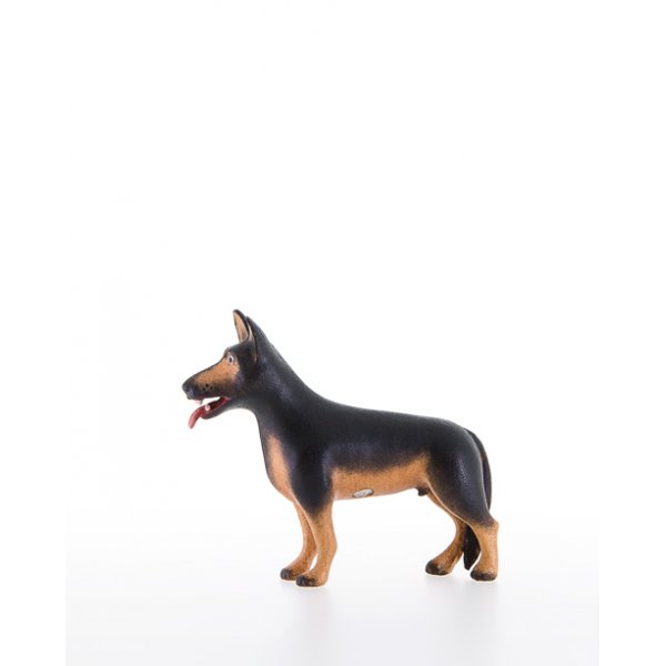 LP10200-26A - Shepherd dog