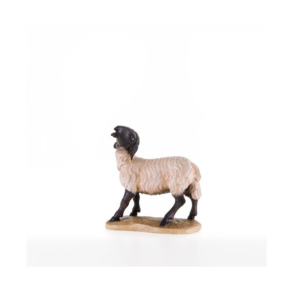 LP21203-S - Sheep with black head