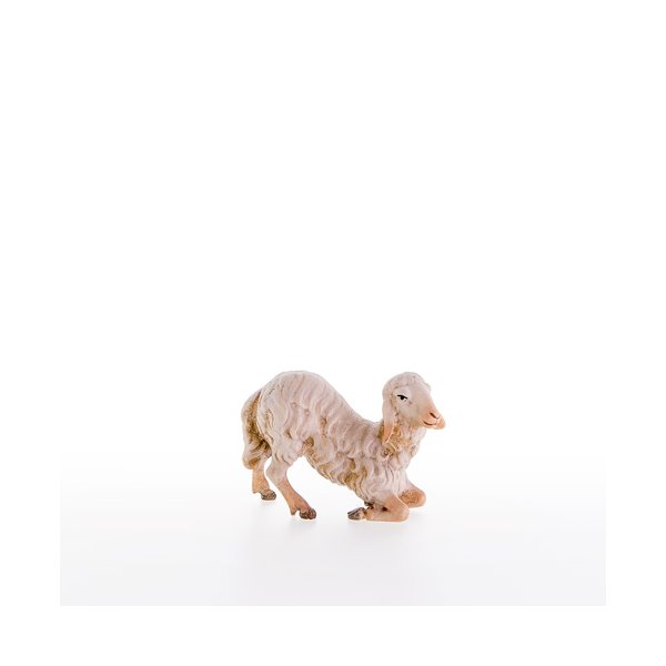 LP21204-A - Sheep kneeling