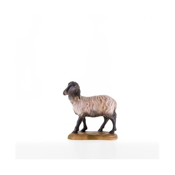 LP21205-S - Sheep with black head