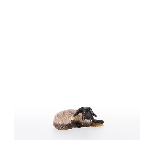 LP21210-AS - Sheep lying-down with black head