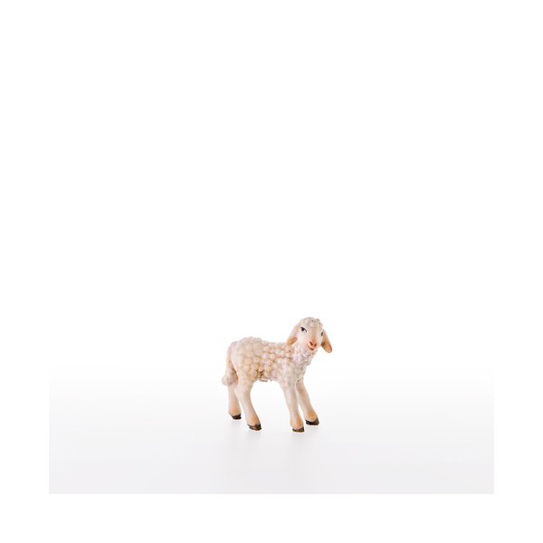LP21287-A - Lamb standing
