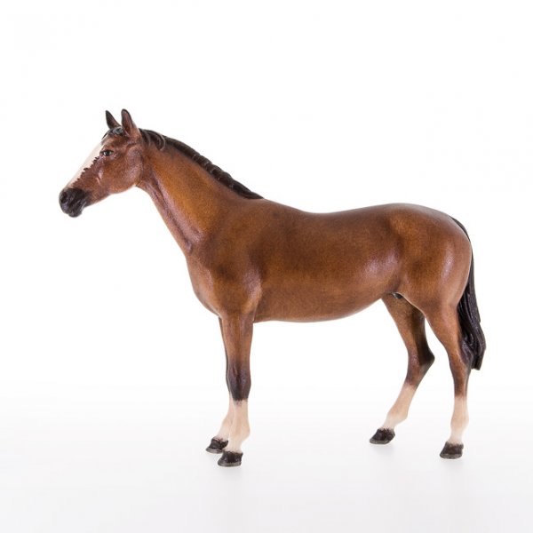 LP21995 - Horse