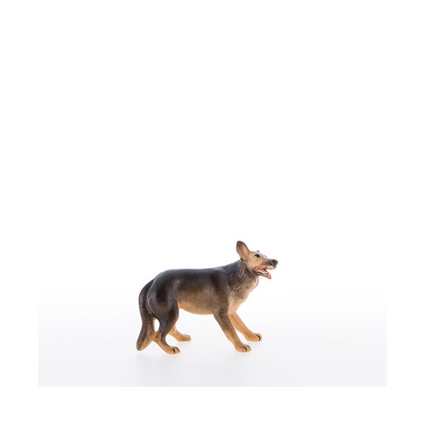 LP22052-A - Shepherd dog