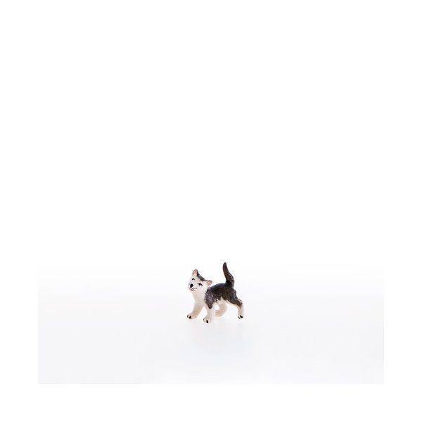 LP22106-A - Little cat running