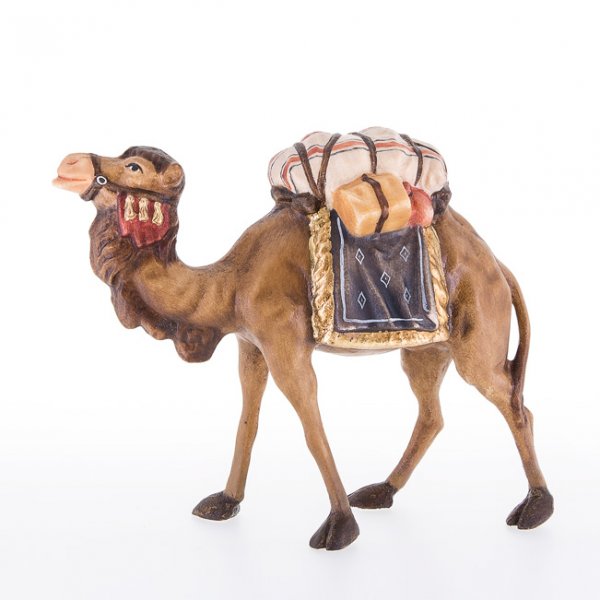 LP24020 - Camel