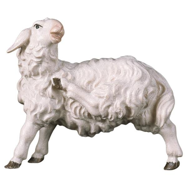 UP700136 - UL Rasping sheep
